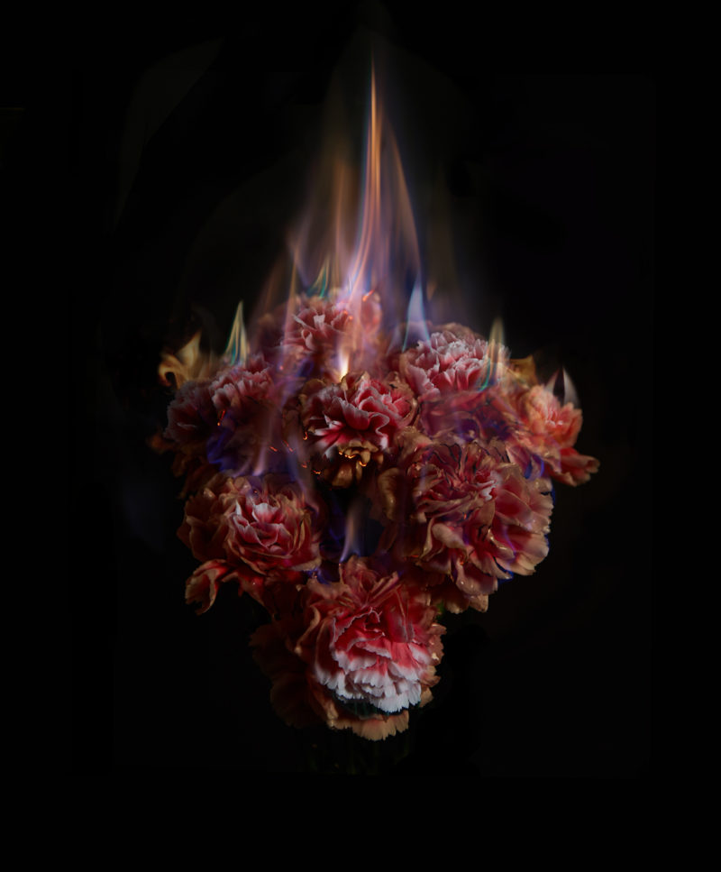 Burning Flowers Mat Collishaw