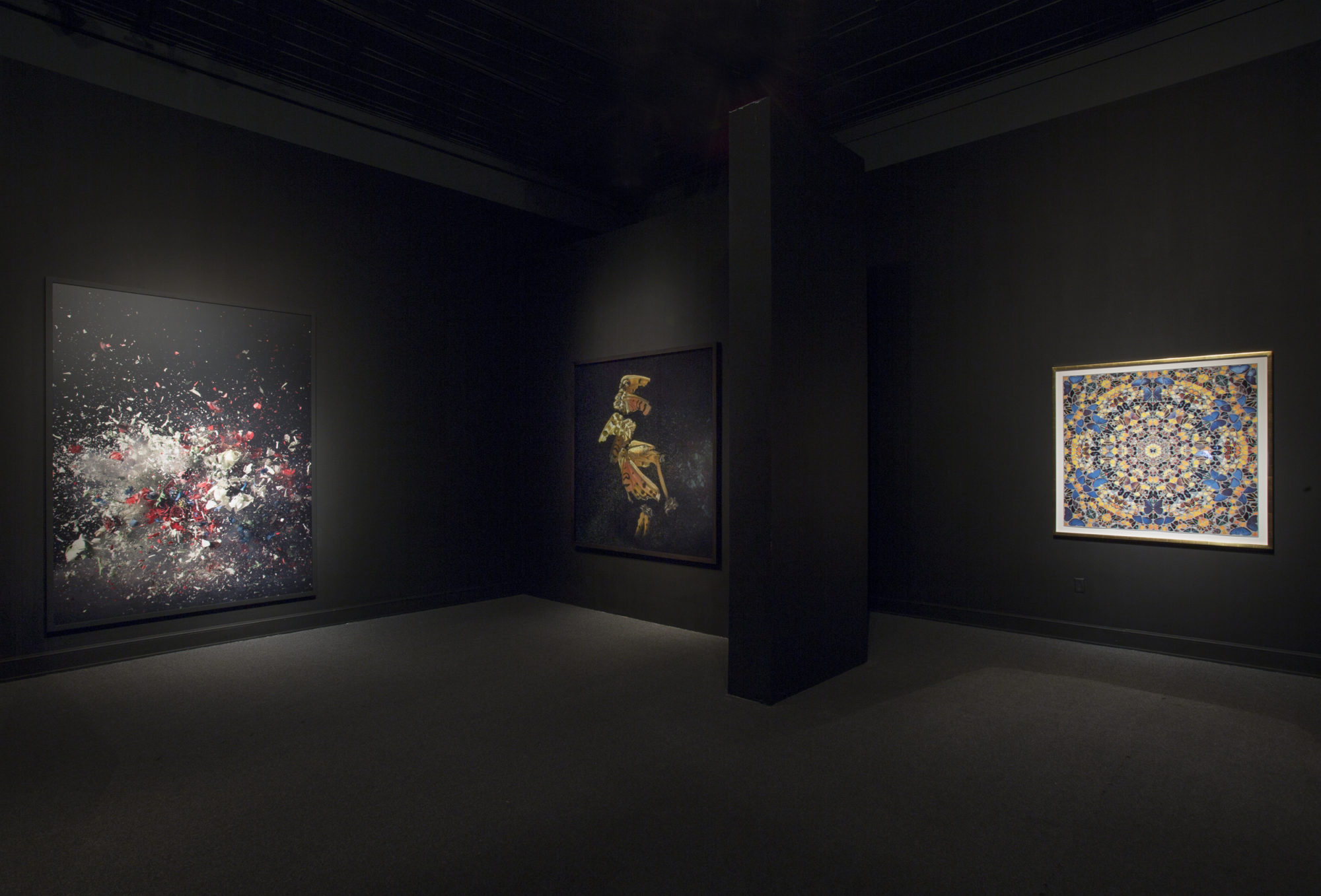 Vanitas – Fashion and Art · Mat Collishaw