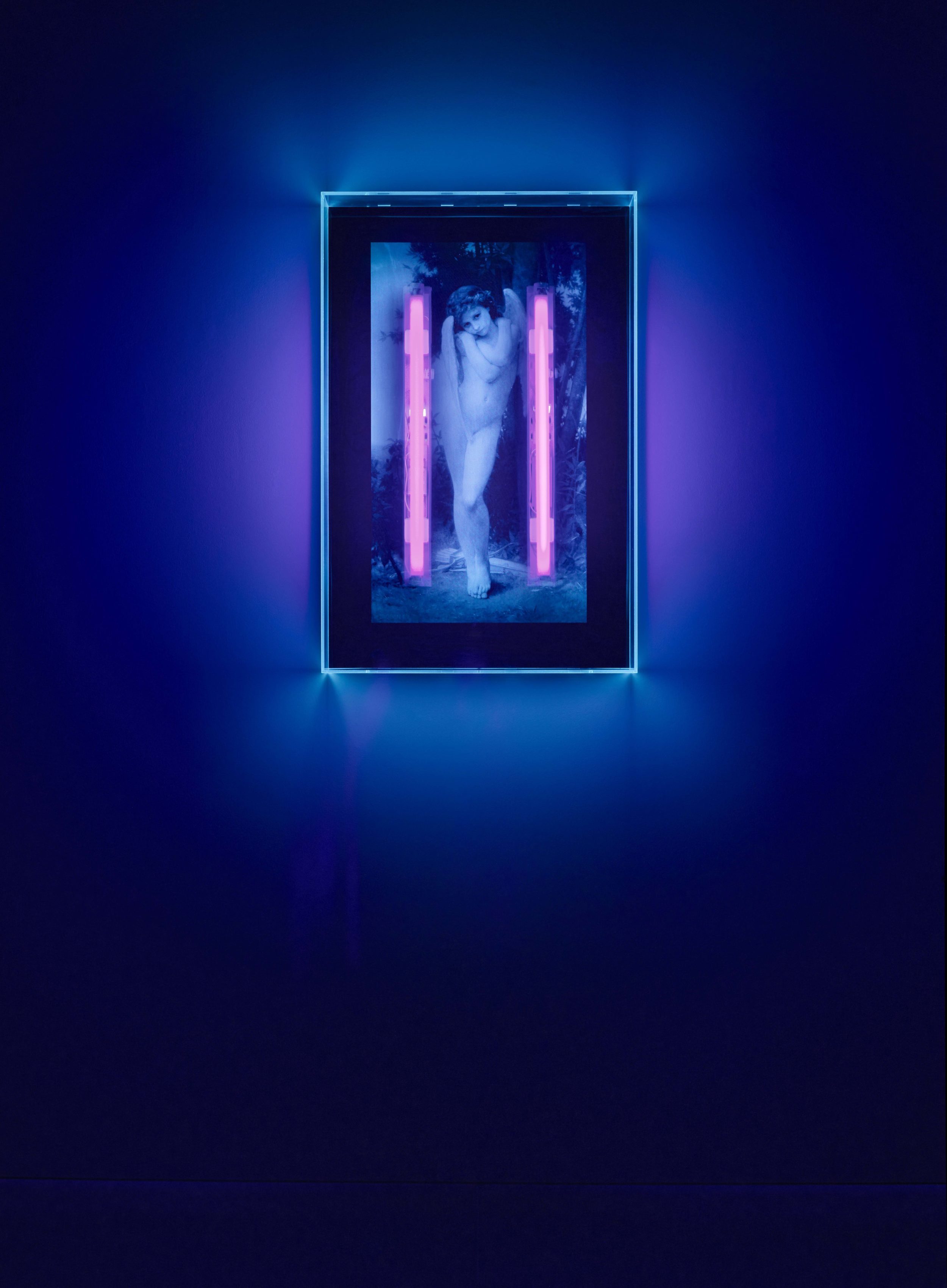 Ultraviolet Angel · Mat Collishaw