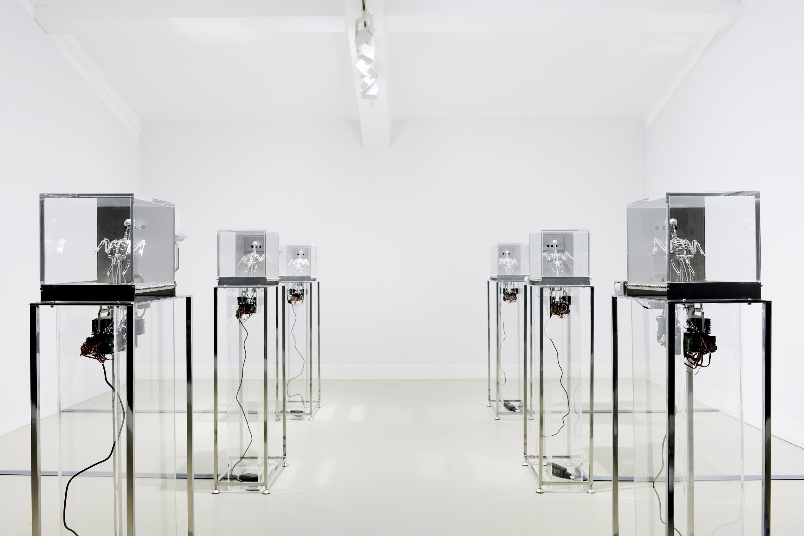 The Machine Zone · Mat Collishaw