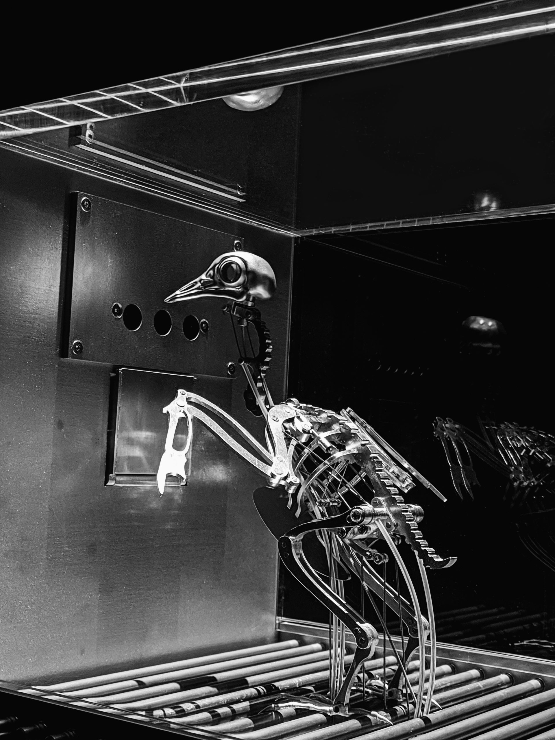 The Machine Zone · Mat Collishaw