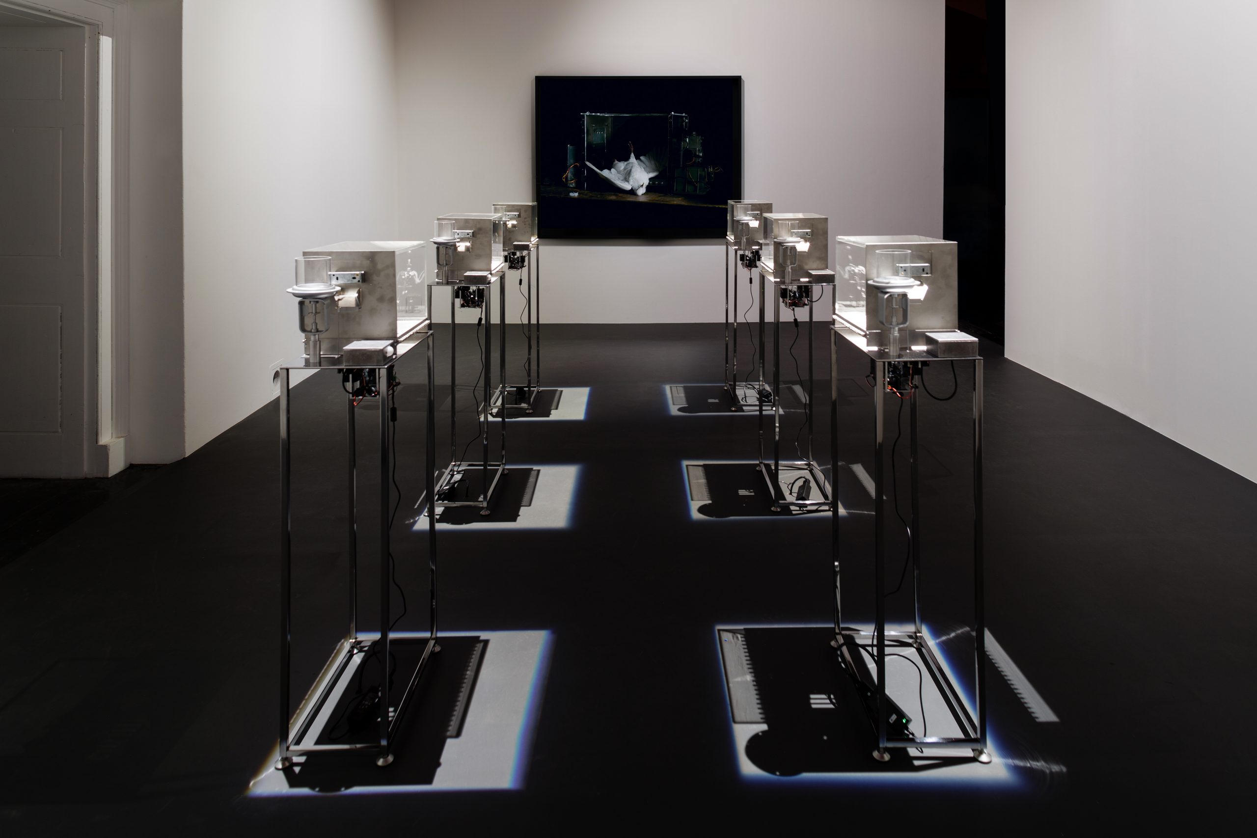 The Machine Zone · Mat Collishaw