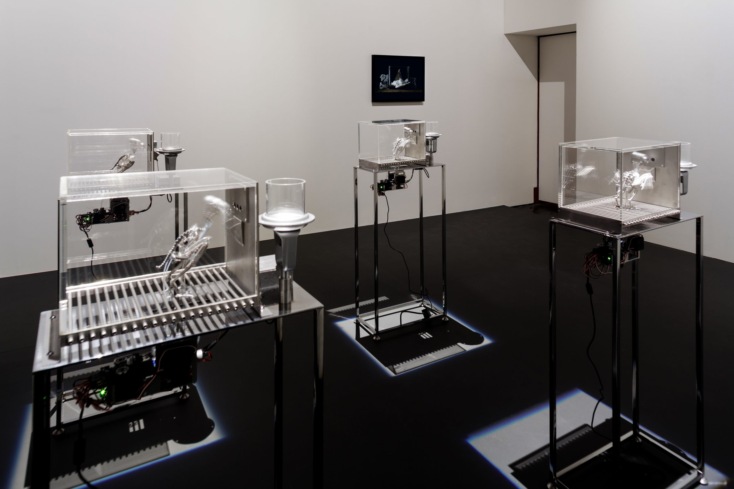 The Machine Zone · Mat Collishaw