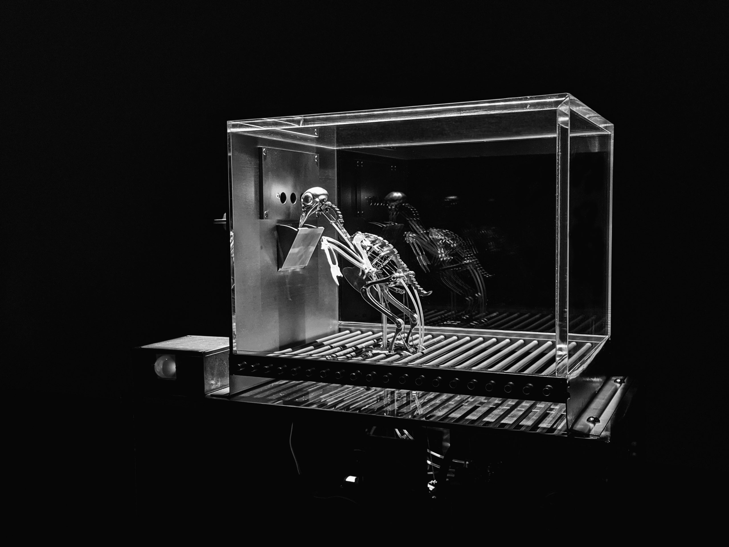 The Machine Zone · Mat Collishaw