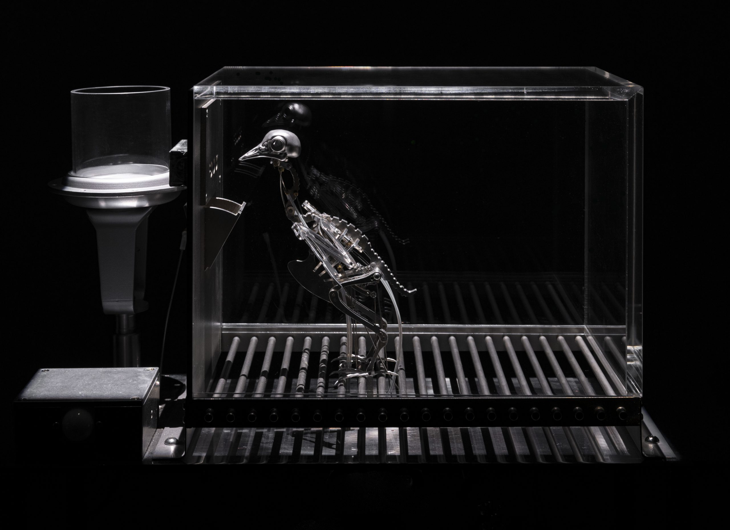 The Machine Zone · Mat Collishaw