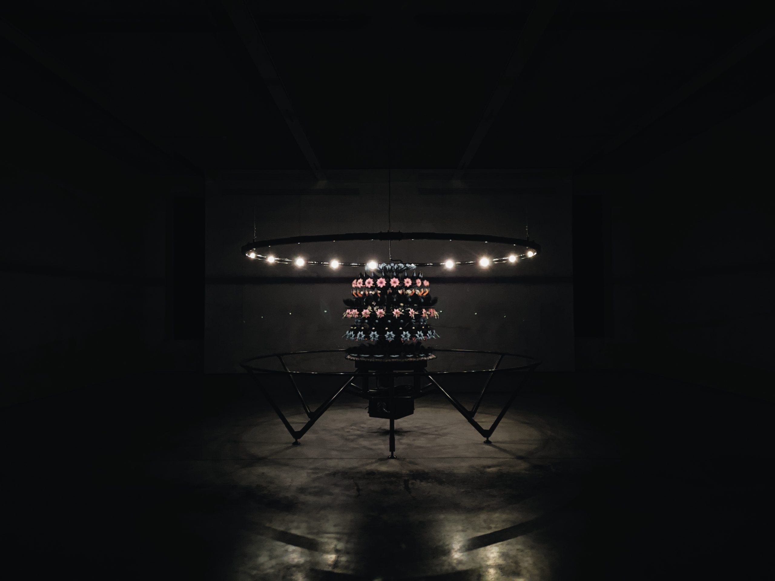 The Machine Zone · Mat Collishaw