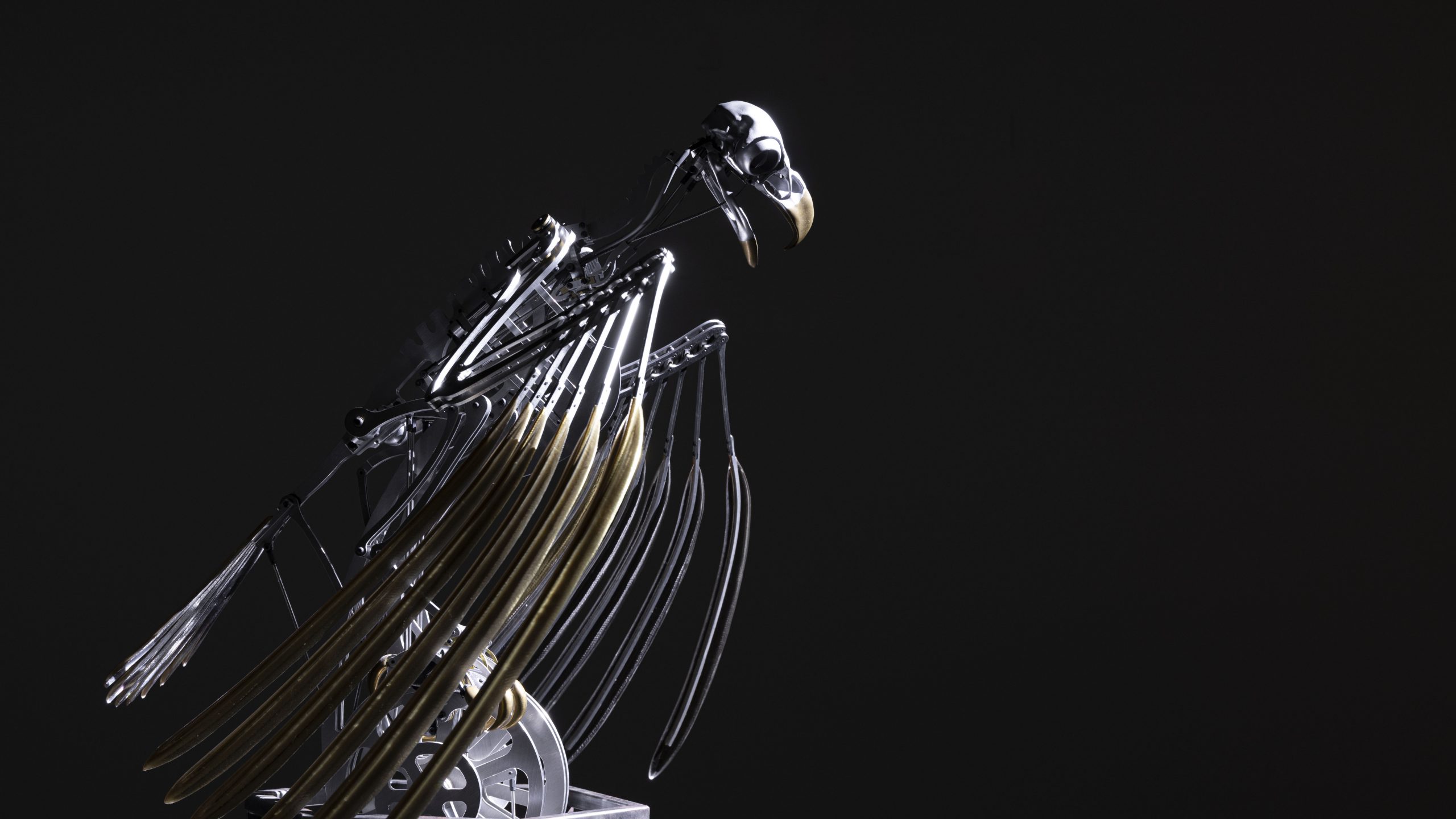 The Machine Zone · Mat Collishaw