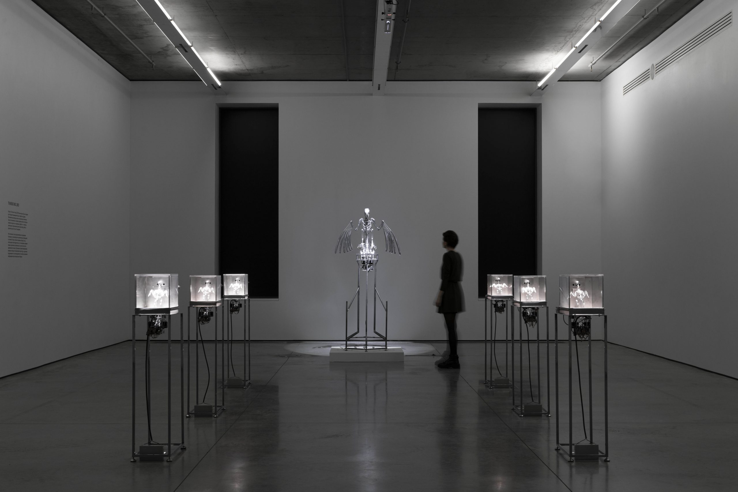 The Machine Zone · Mat Collishaw