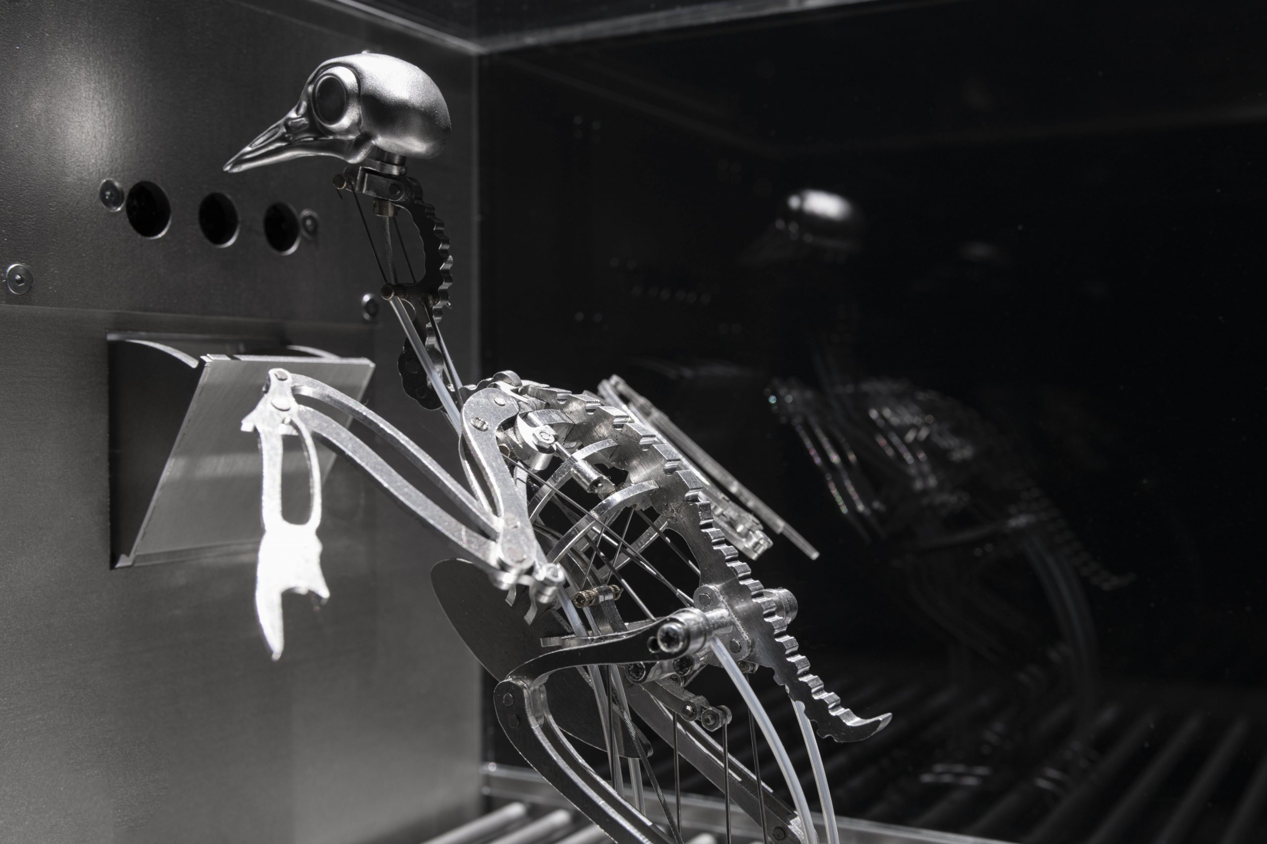 The Machine Zone · Mat Collishaw