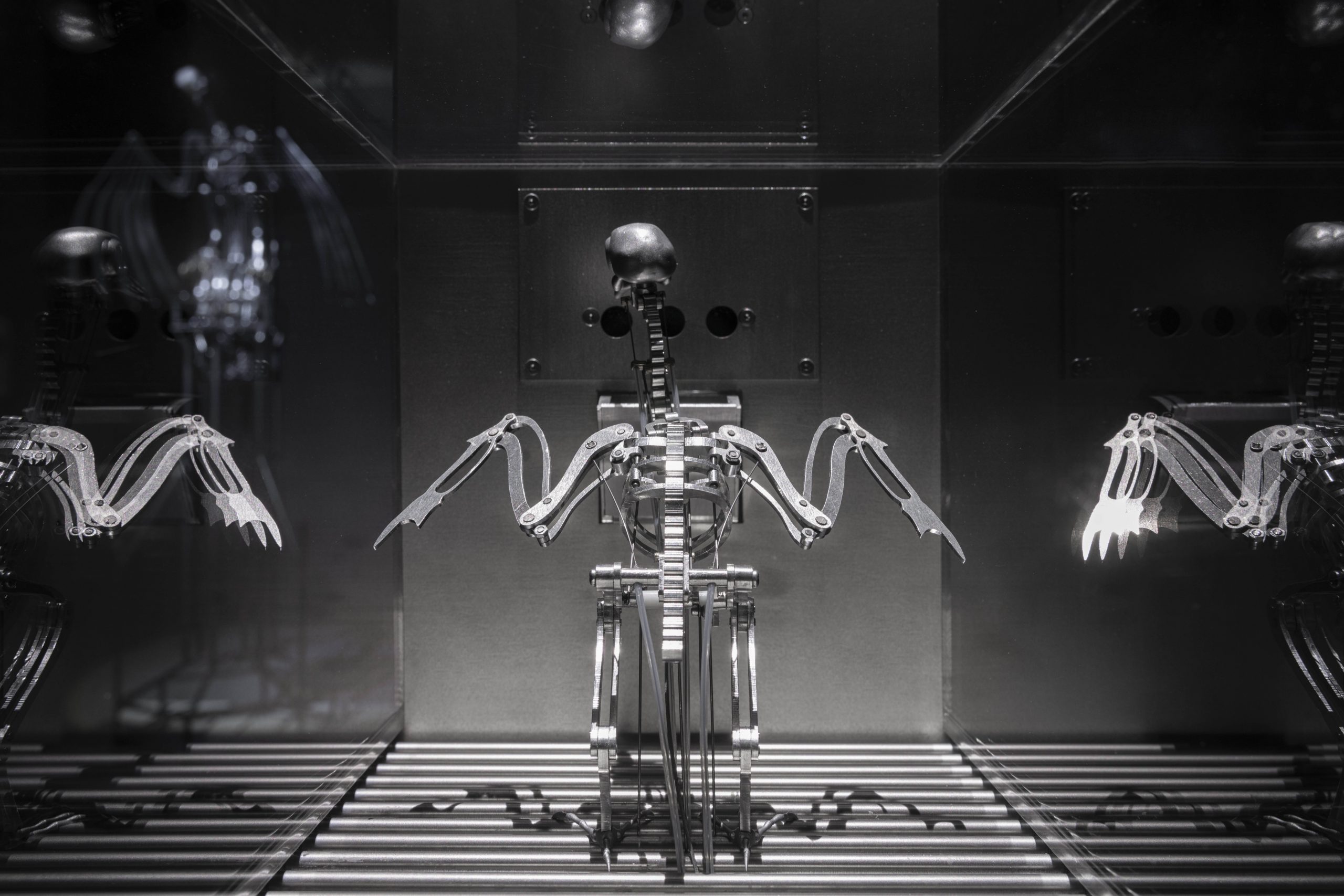 The Machine Zone · Mat Collishaw