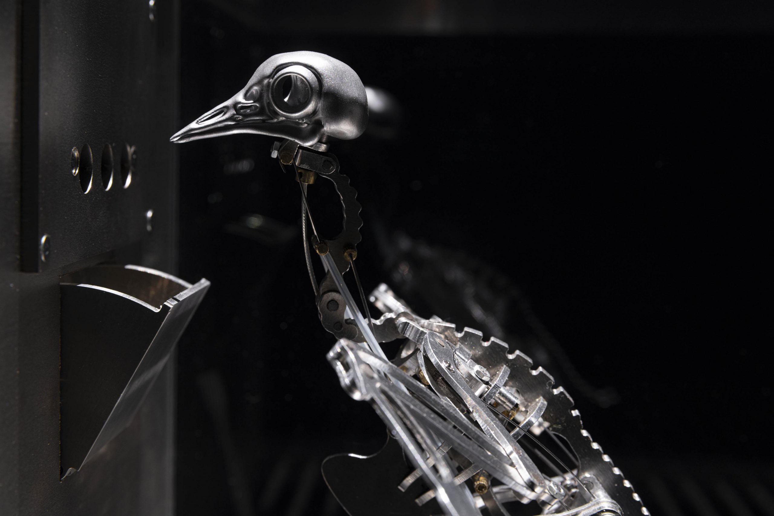 The Machine Zone · Mat Collishaw