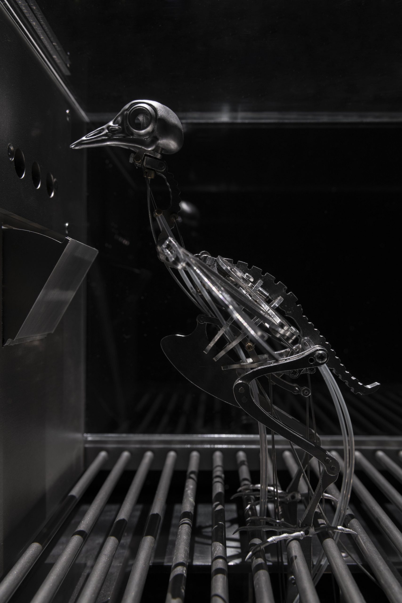 The Machine Zone · Mat Collishaw