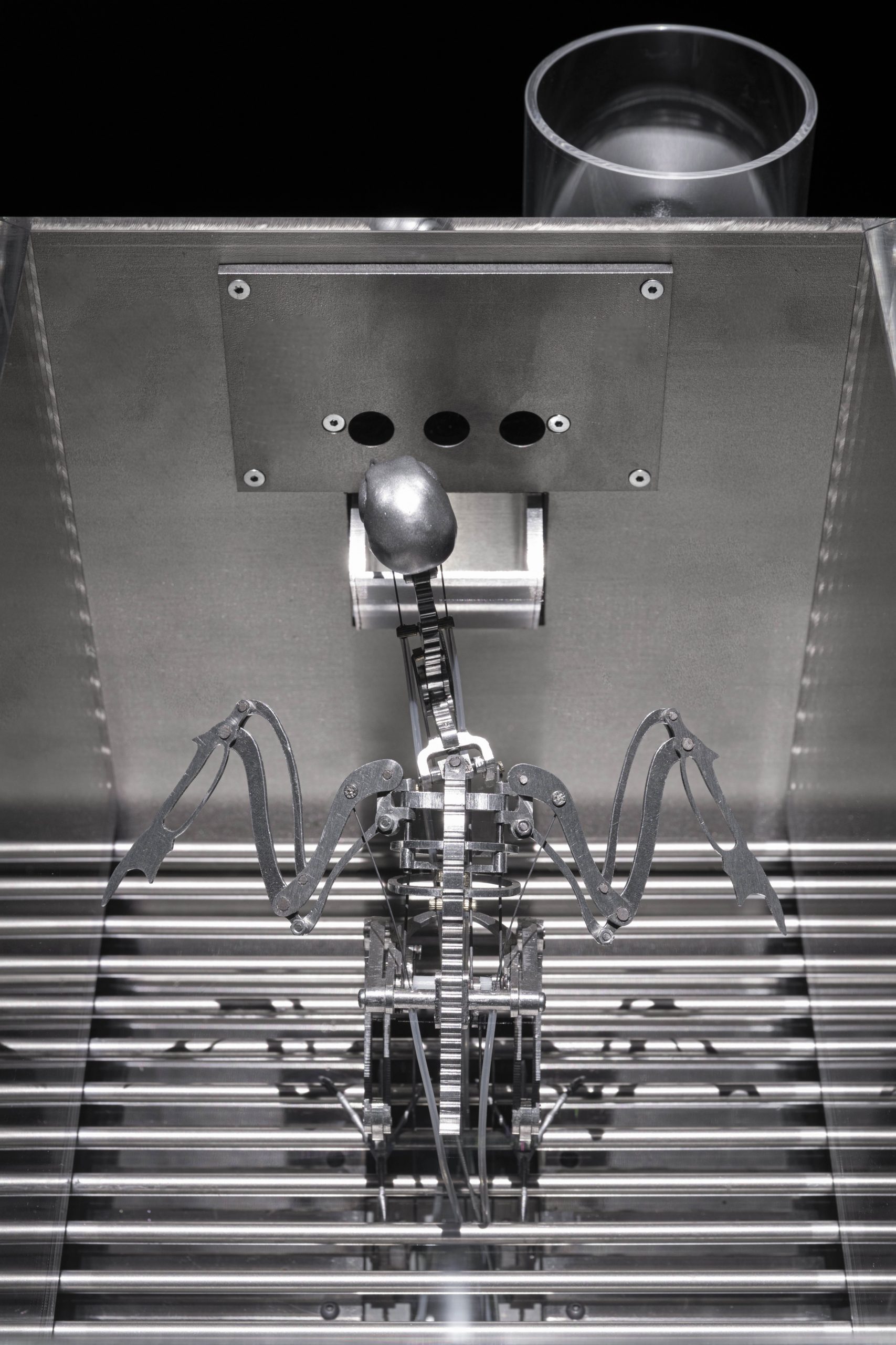 The Machine Zone · Mat Collishaw