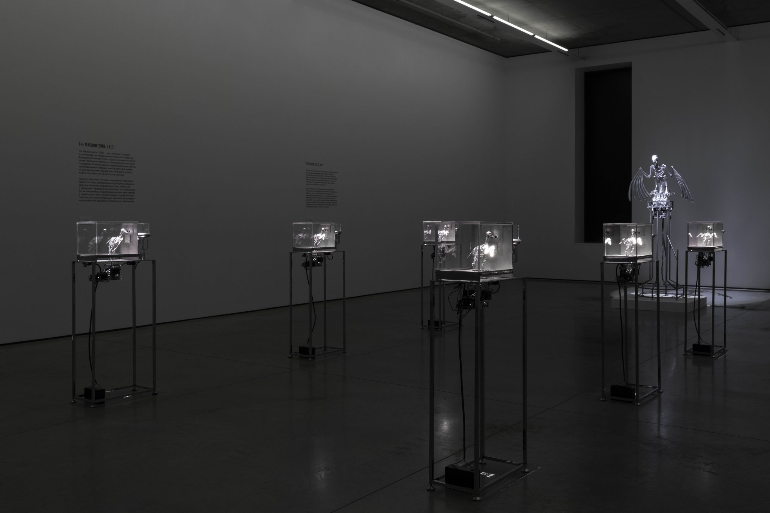 The Machine Zone · Mat Collishaw