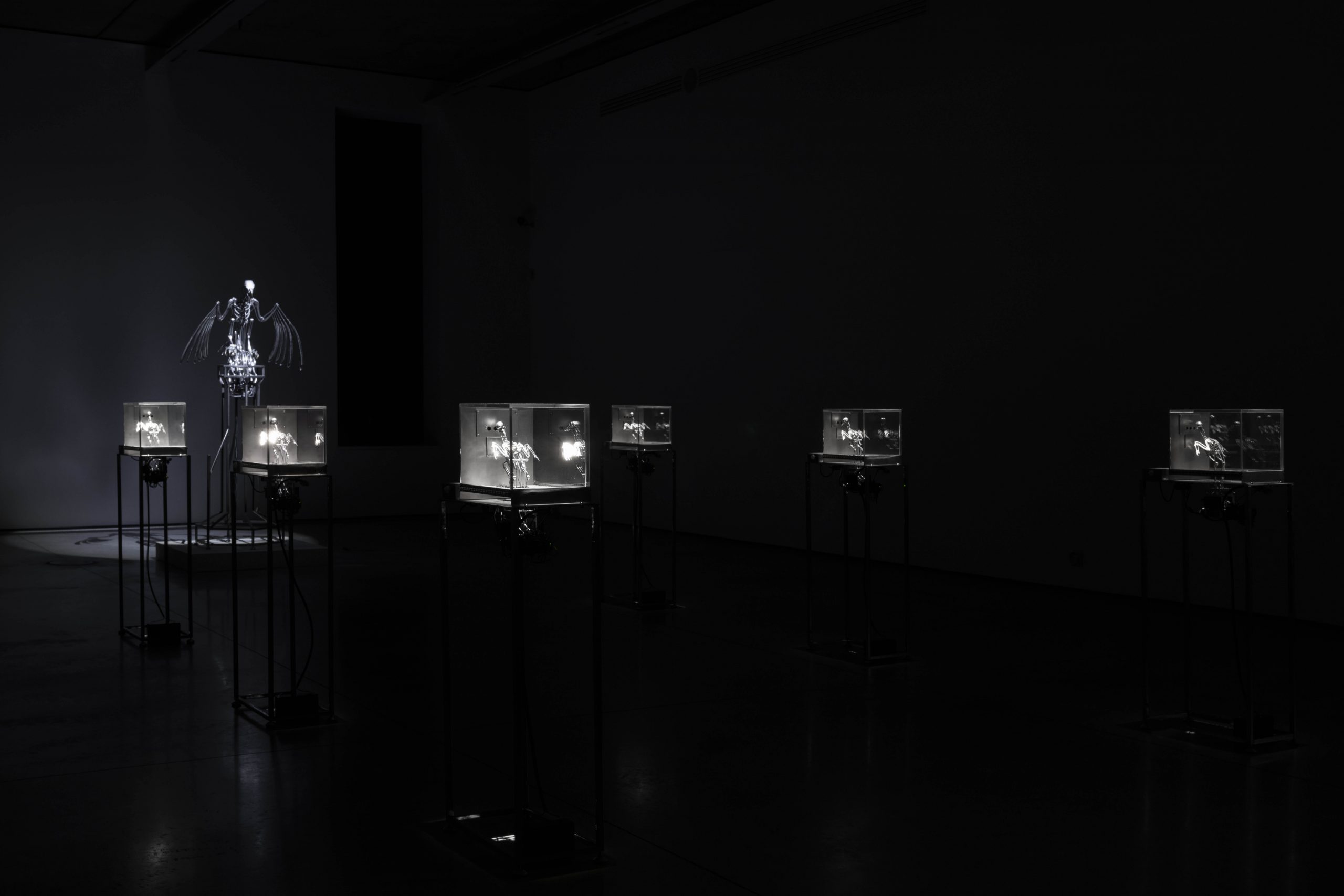 The Machine Zone · Mat Collishaw