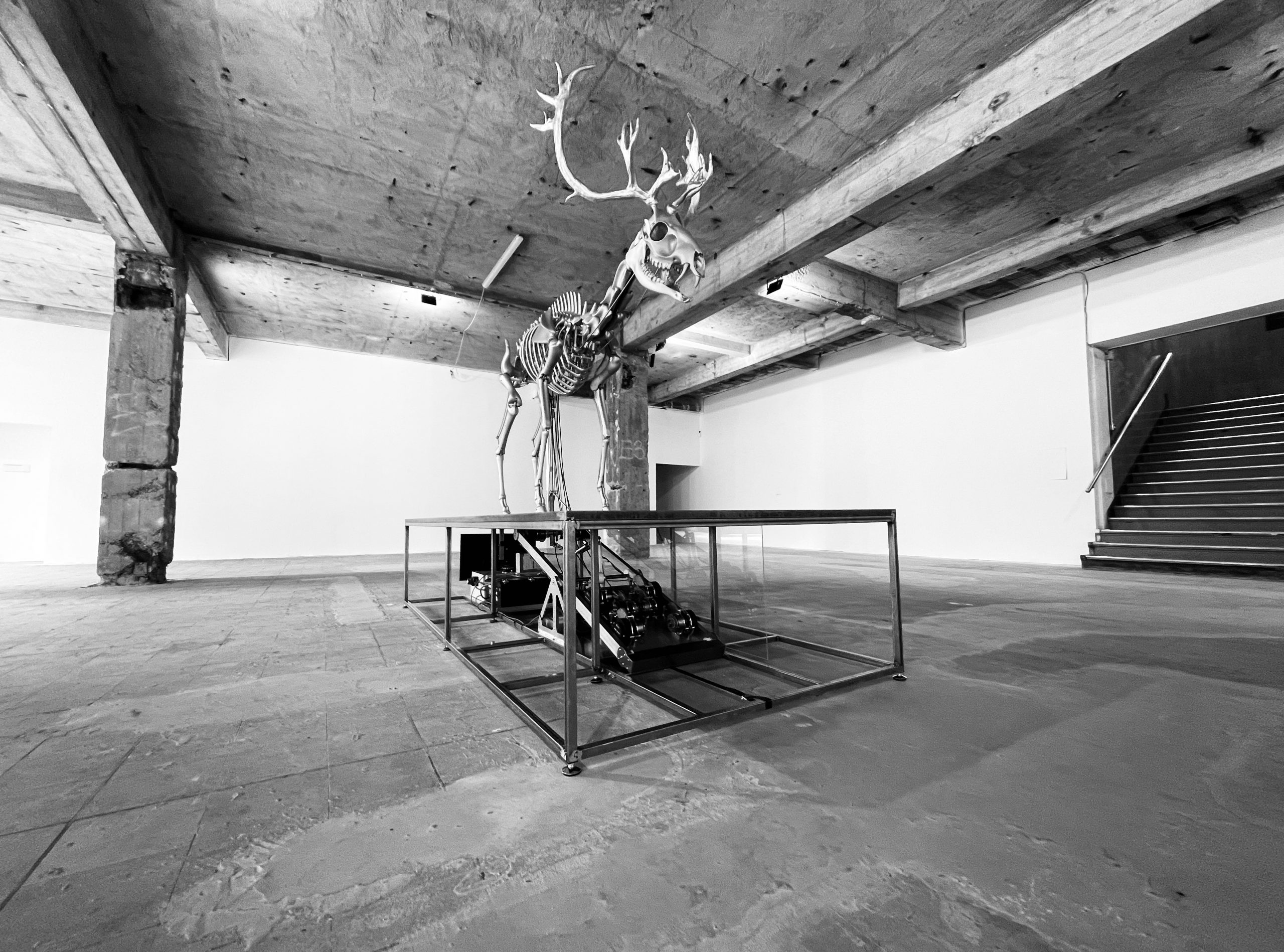 Insilico Mat Collishaw Insilico mat collishaw