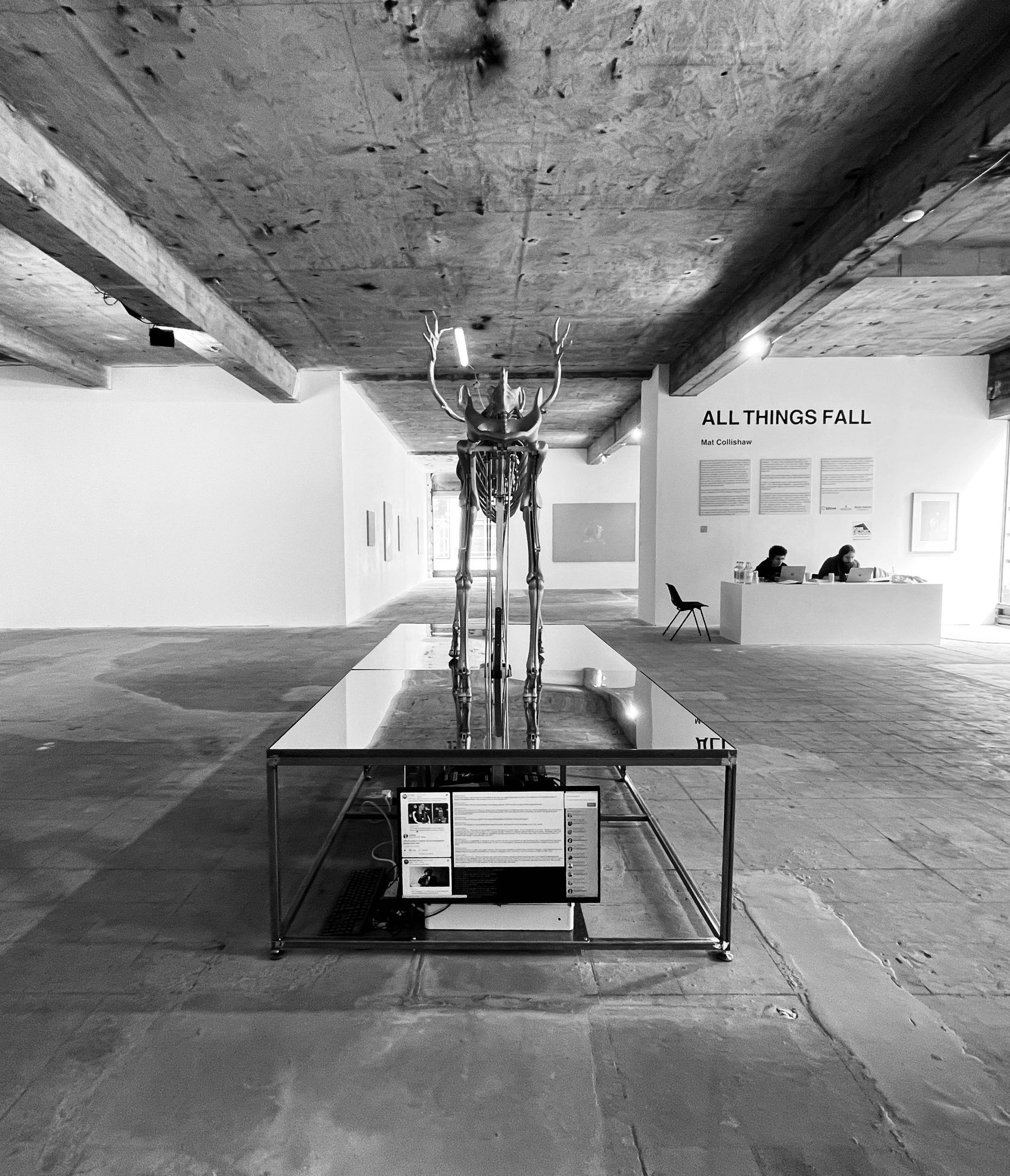 Insilico Mat Collishaw Insilico mat collishaw