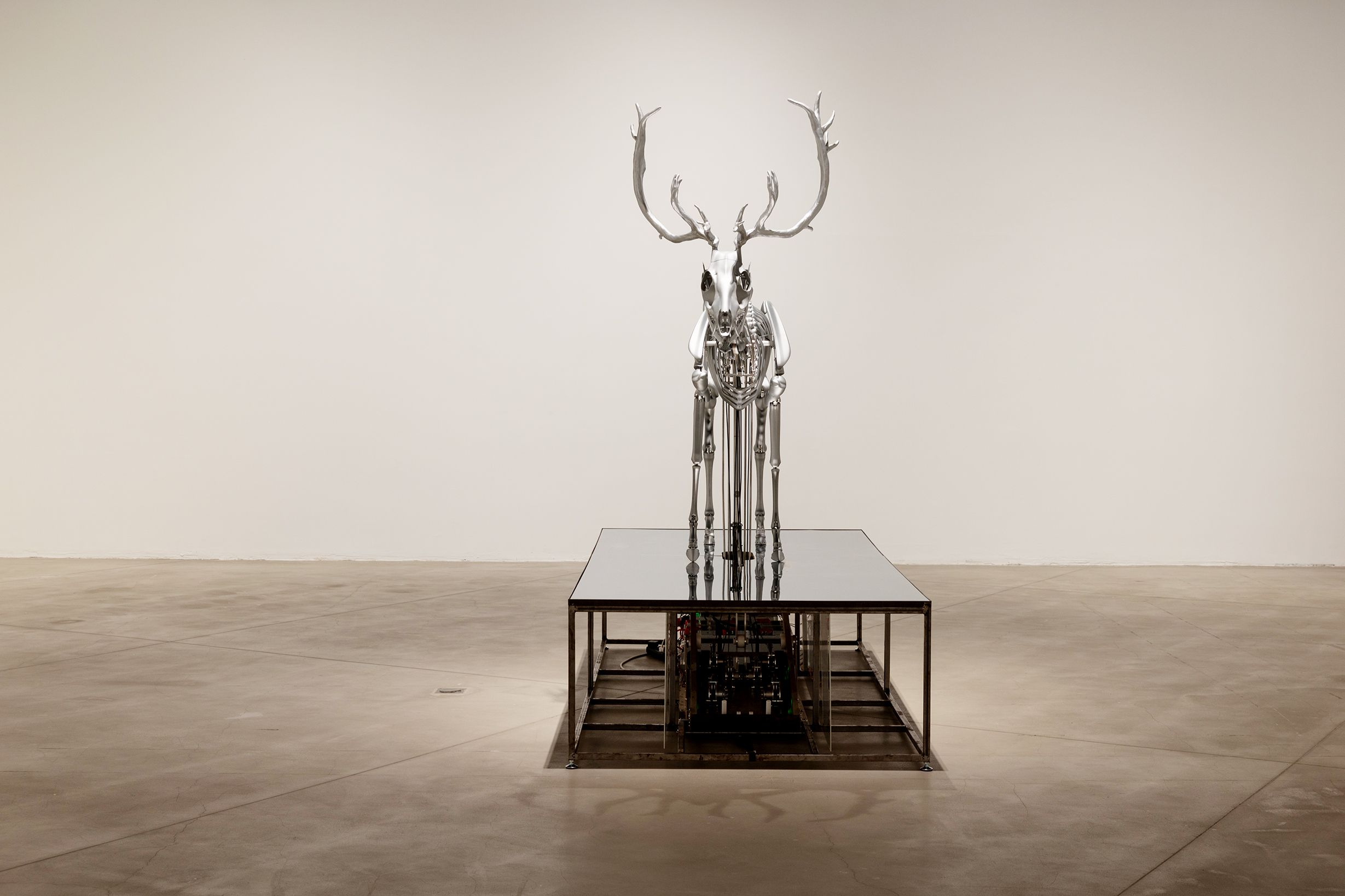 Mat Collishaw